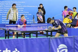 麻将与策略游戏（策略博弈视角下的麻将）