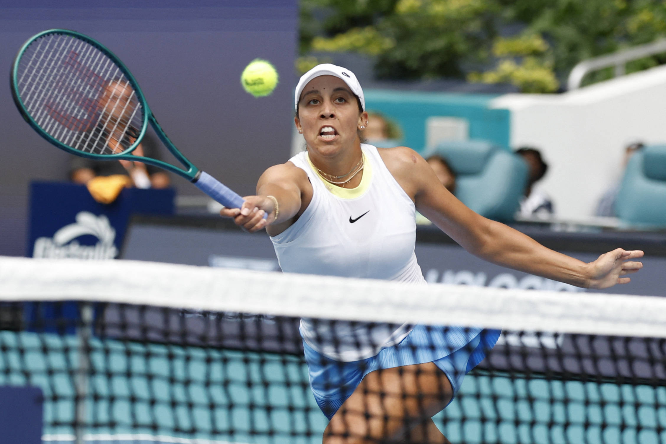 的参与度极 的参与度极